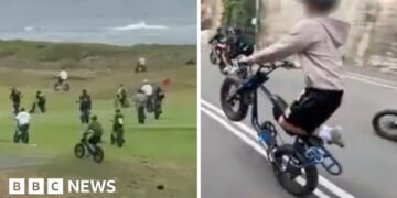 Fatbikes are wreaking havoc in Sydney's wealthy beach suburbs