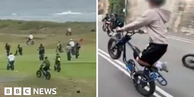 Fatbikes are wreaking havoc in Sydney's wealthy beach suburbs