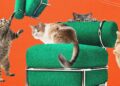 Ikea’s New Blow-Up Chair Was Tested by Cats