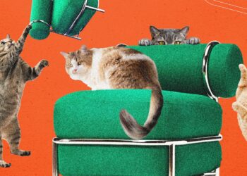 Ikea’s New Blow-Up Chair Was Tested by Cats