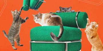 Ikea’s New Blow-Up Chair Was Tested by Cats