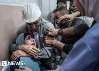 Two Palestinians killed during settler attack on West Bank village, officials say