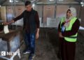 Palestinians in West Bank and some in Gaza vote in local elections