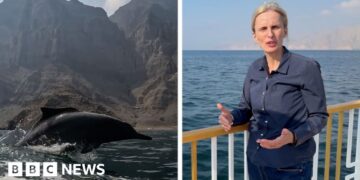BBC reports near Strait of Hormuz