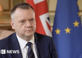 UK seeks closer EU ties in volatile times – but at what cost?