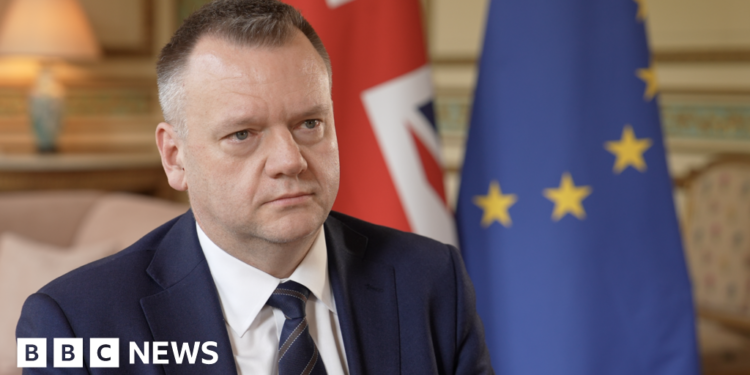 UK seeks closer EU ties in volatile times – but at what cost?