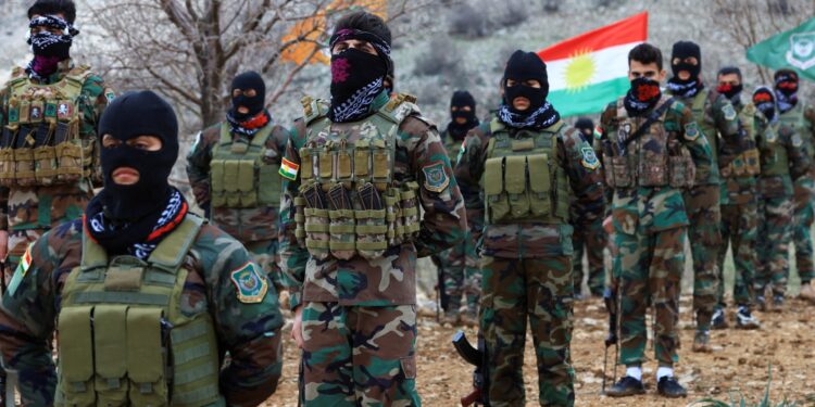 Has Trump confirmed Iran’s claim that protesters were US-armed? | US-Israel war on Iran News