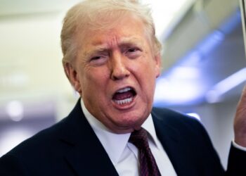 Donald Trump Slams ‘Nut Jobs’ Tucker Carlson, Megyn Kelly, Candace Owens, Alex Jones for Opposing Iran War: ‘They’re Stupid People’