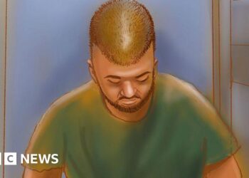 Alleged Bondi gunman loses court bid to suppress names of his family