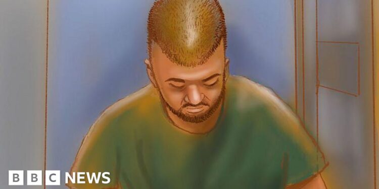 Alleged Bondi gunman loses court bid to suppress names of his family