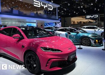 China car giant BYD says it can thrive without US