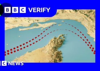 How many ships are crossing the Strait of Hormuz?