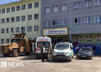 Sixteen injured after ex-student opens fire at high school in Turkey