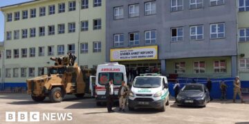 Sixteen injured after ex-student opens fire at high school in Turkey