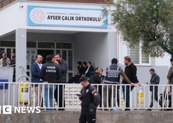 Turkish police detain 162 people over online praise for school shootings