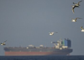 Spoofed Tankers Are Flooding the Strait of Hormuz. These Analysts Are Tracking Them