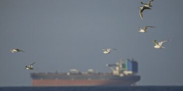 Spoofed Tankers Are Flooding the Strait of Hormuz. These Analysts Are Tracking Them