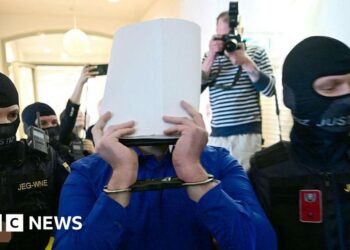 Man admits plotting attack on Taylor Swift concert in Vienna