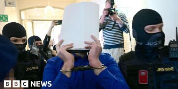 Man admits plotting attack on Taylor Swift concert in Vienna