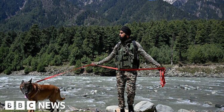 The Kashmir town trying to win back tourists after a deadly attack