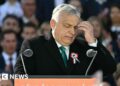 Who is Viktor Orban, Hungarian PM fighting to cling to power after 16 years?