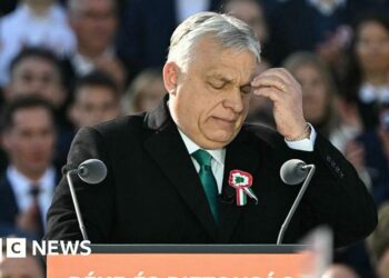 Who is Viktor Orban, Hungarian PM fighting to cling to power after 16 years?