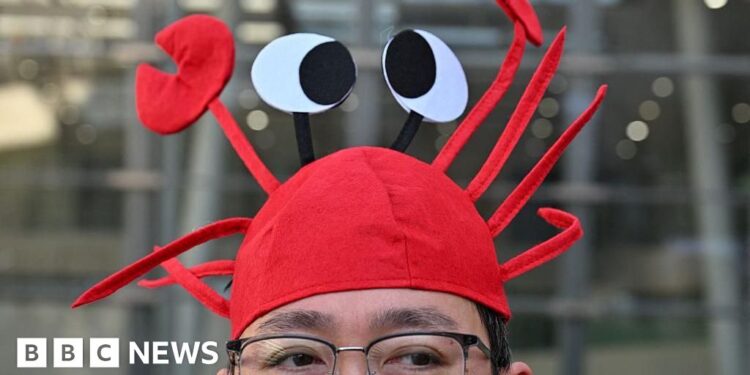 How China fell for a lobster: What an AI assistant tells us about Beijing's ambition