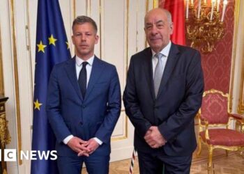 Magyar calls for fast handover of power in talks with Hungary's president