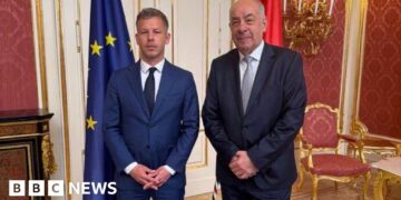 Magyar calls for fast handover of power in talks with Hungary's president