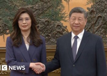Taiwan opposition leader meets Xi Jinping in Beijing