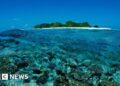 Five Italians die during cave dive in Maldives