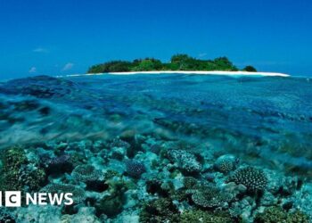 Five Italians die during cave dive in Maldives