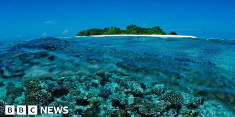 Five Italians die during cave dive in Maldives