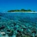 Five Italians die during cave dive in Maldives