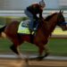 2026 Kentucky Derby: Date, time, horses, odds, format, purse