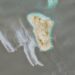 Satellite images show likely oil slick off Iran’s Kharg Island | Environment