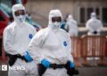 No sign of larger hantavirus outbreak, says UN health agency