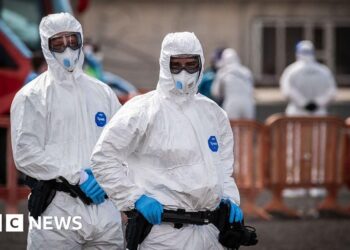 No sign of larger hantavirus outbreak, says UN health agency