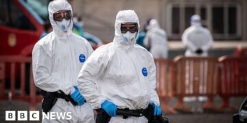 No sign of larger hantavirus outbreak, says UN health agency