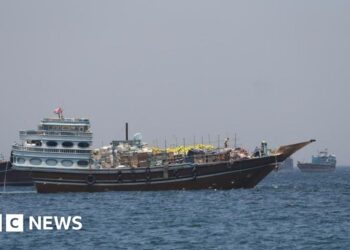 What we know about Trump’s ‘Project Freedom’ in Strait of Hormuz