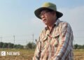 It's not just oil: Iran war also threatens Asia's food security