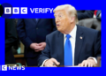 Trump pauses Hormuz plan 50 hours after he announced it – what happened?