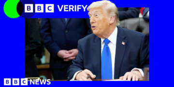 Trump pauses Hormuz plan 50 hours after he announced it – what happened?