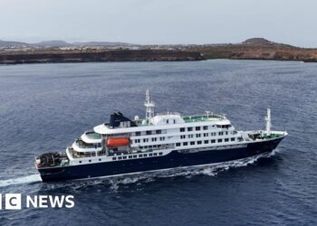 WHO chief reassures Tenerife residents ahead of arrival of virus-hit cruise ship