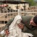 Israeli military investigates soldier's act against Virgin Mary statue in Lebanon