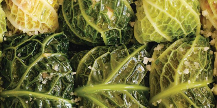 This New Cookbook by the Founder of Ghia Will Transport You Straight to a Mediterranean Summer