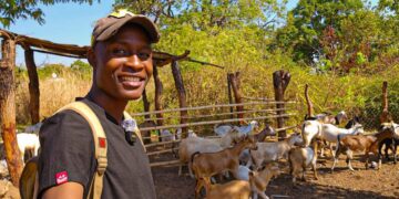 Zimbabwe’s diaspora reshapes real estate and farming investment trends | Features