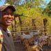 Zimbabwe’s diaspora reshapes real estate and farming investment trends | Features