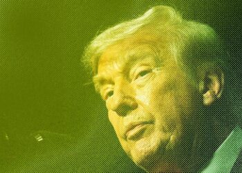 Trump Pivots on AI Regulation, Worker Ousted by DOGE Runs for Office, and Hantavirus Explained