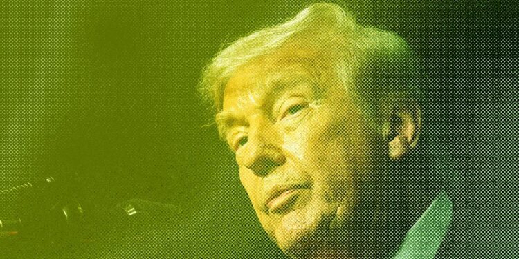 Trump Pivots on AI Regulation, Worker Ousted by DOGE Runs for Office, and Hantavirus Explained